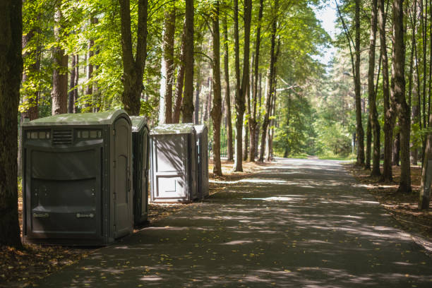 Reliable Lovington, NM porta potty rental Solutions